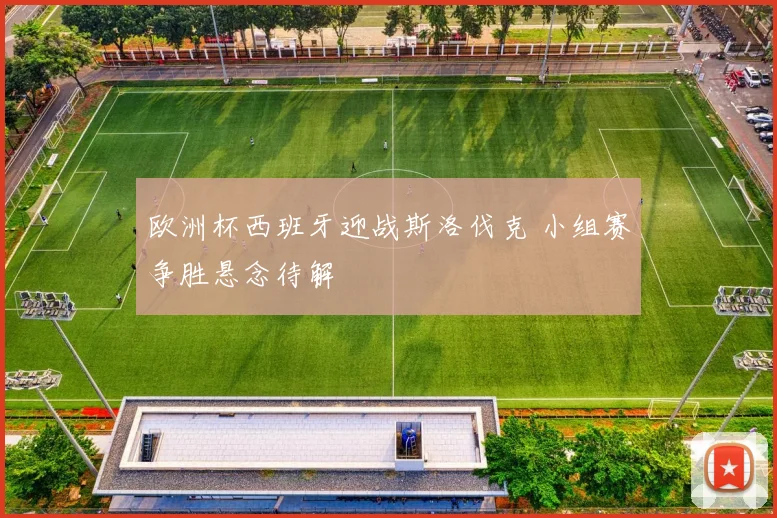 欧洲杯西班牙迎战斯洛伐克 小组赛争胜悬念待解